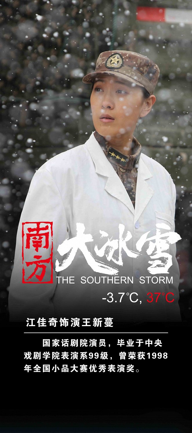 The Southern Storm - Posters