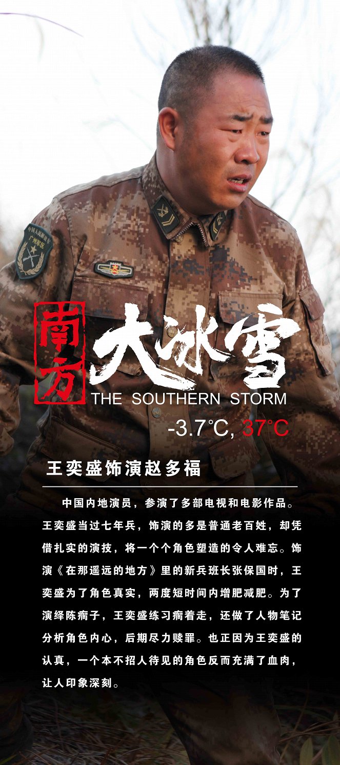 The Southern Storm - Posters