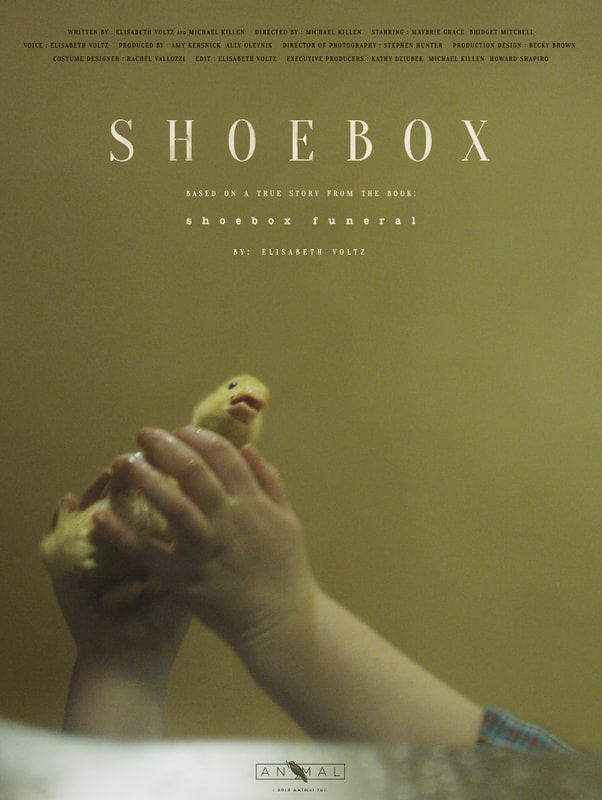 Shoebox - Affiches