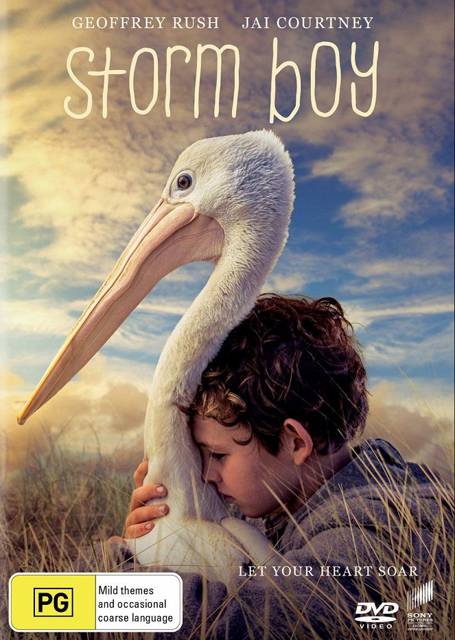 Chlapec a pelikán - Plakáty