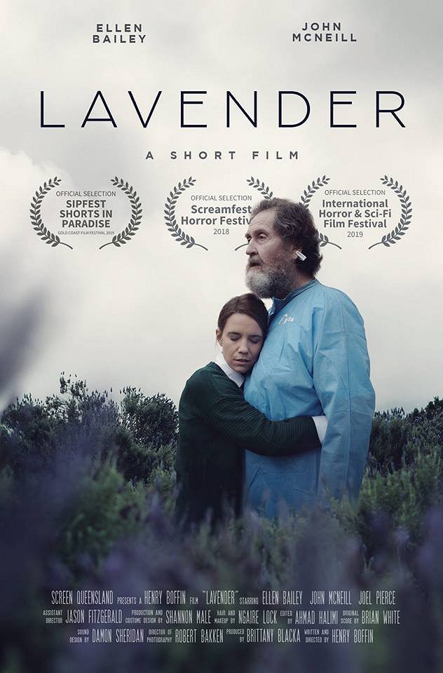 Lavender - Posters