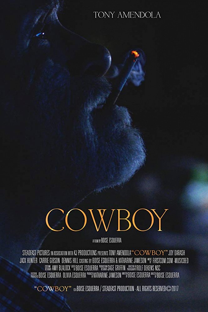 Cowboy - Posters