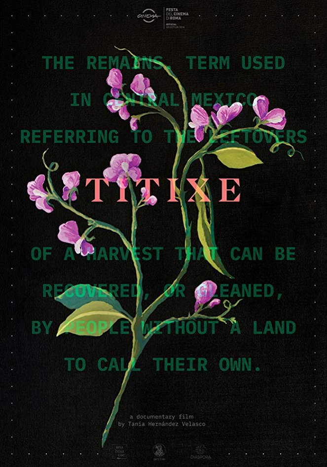 Titixe - Affiches