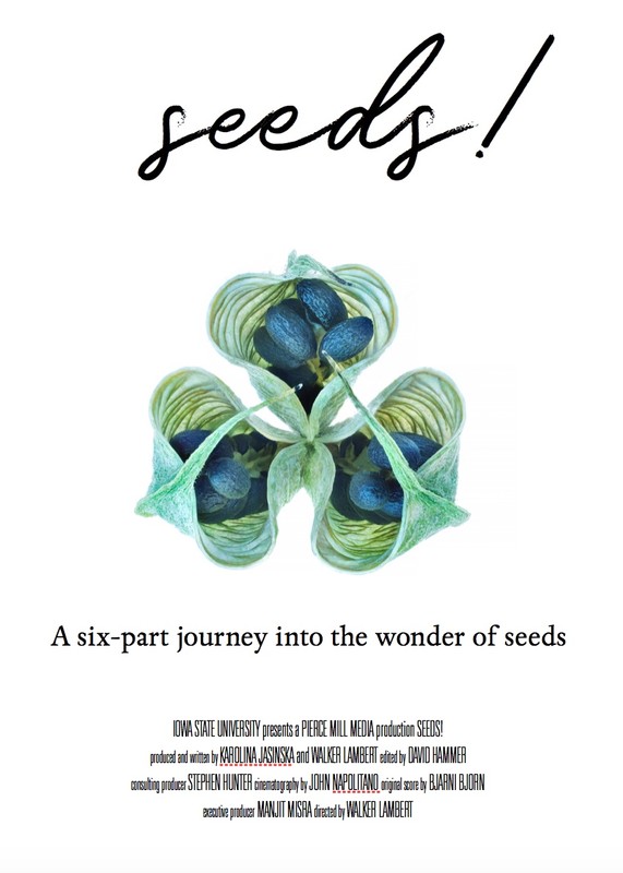 Seeds! - Cartazes