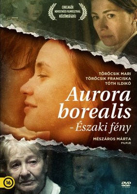 Aurora Borealis - Nordlicht - Plakate