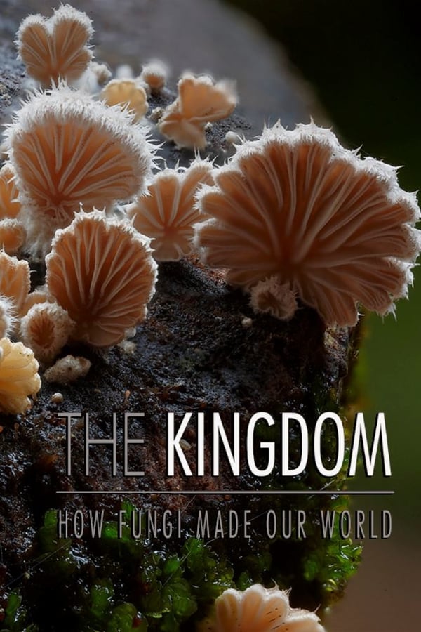 The Kingdom: How Fungi Made Our World - Carteles