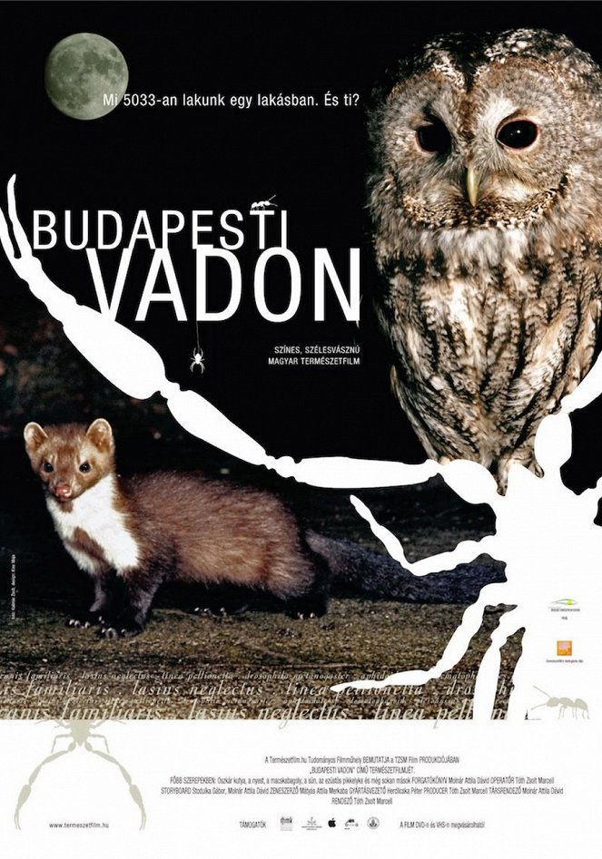 Budapest Wild - Posters