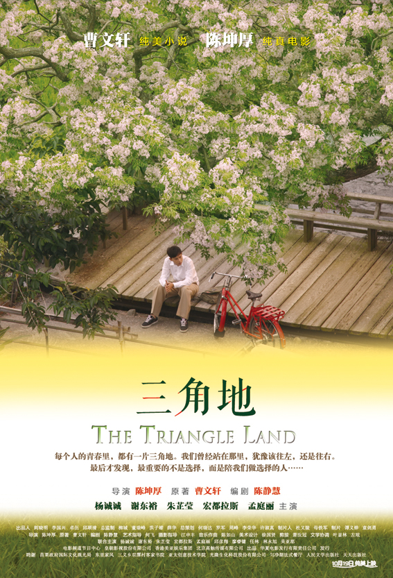 The Triangle Land - Affiches