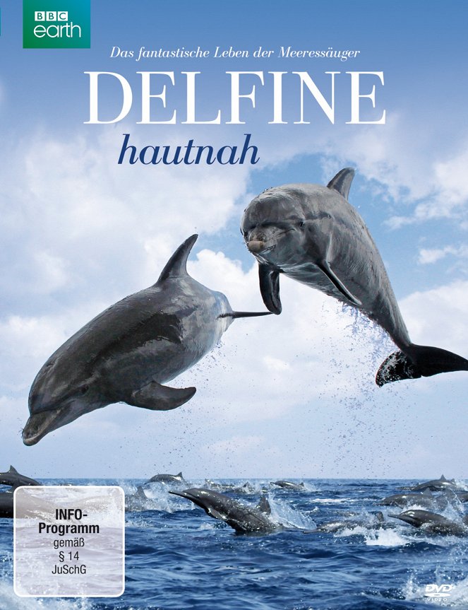 Delfine hautnah - Plakate