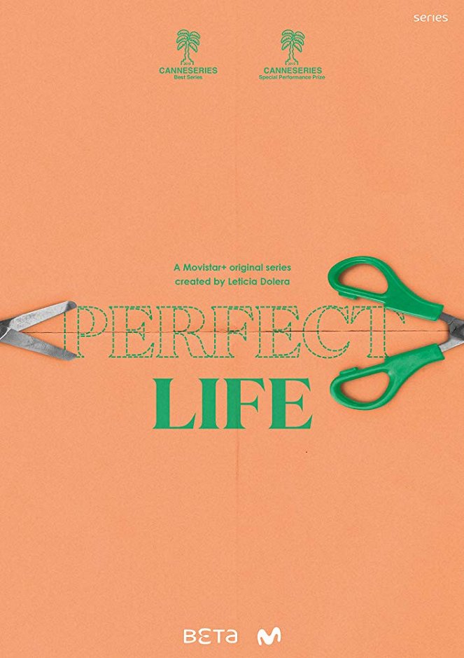 Perfect Life - Posters