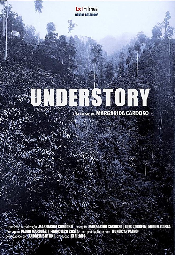 Understory - Posters
