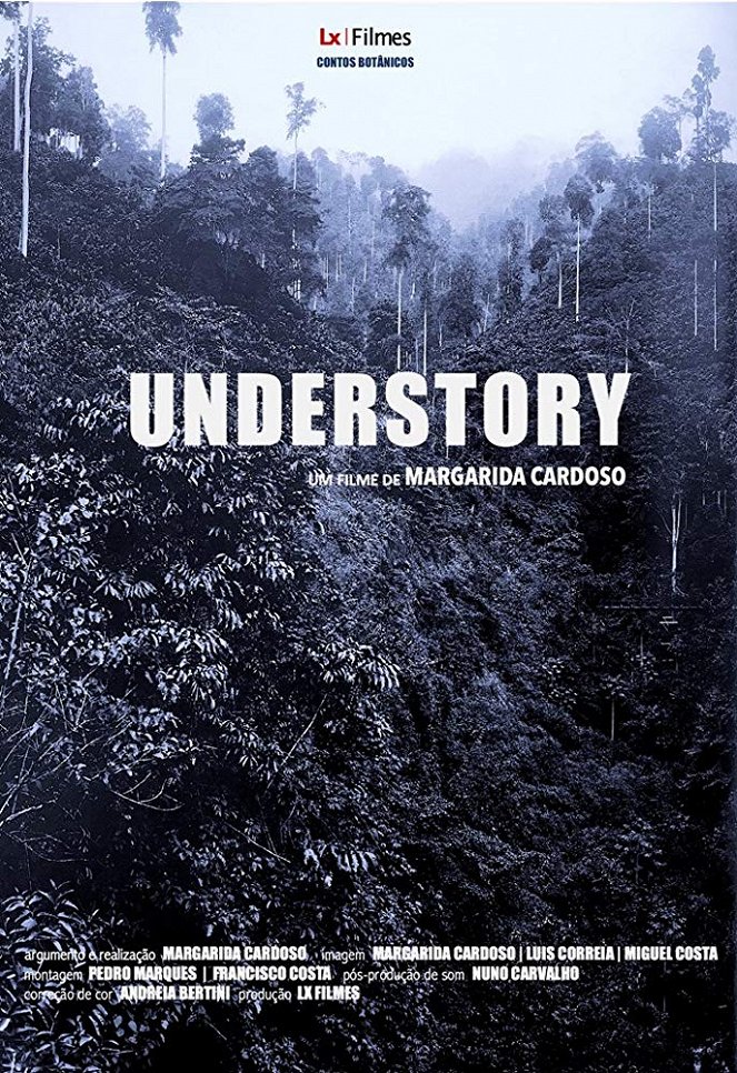 Understory - Plakaty