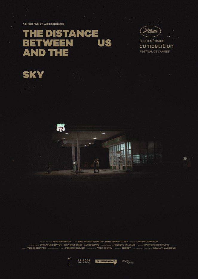 The Distance Between Us and the Sky - Posters