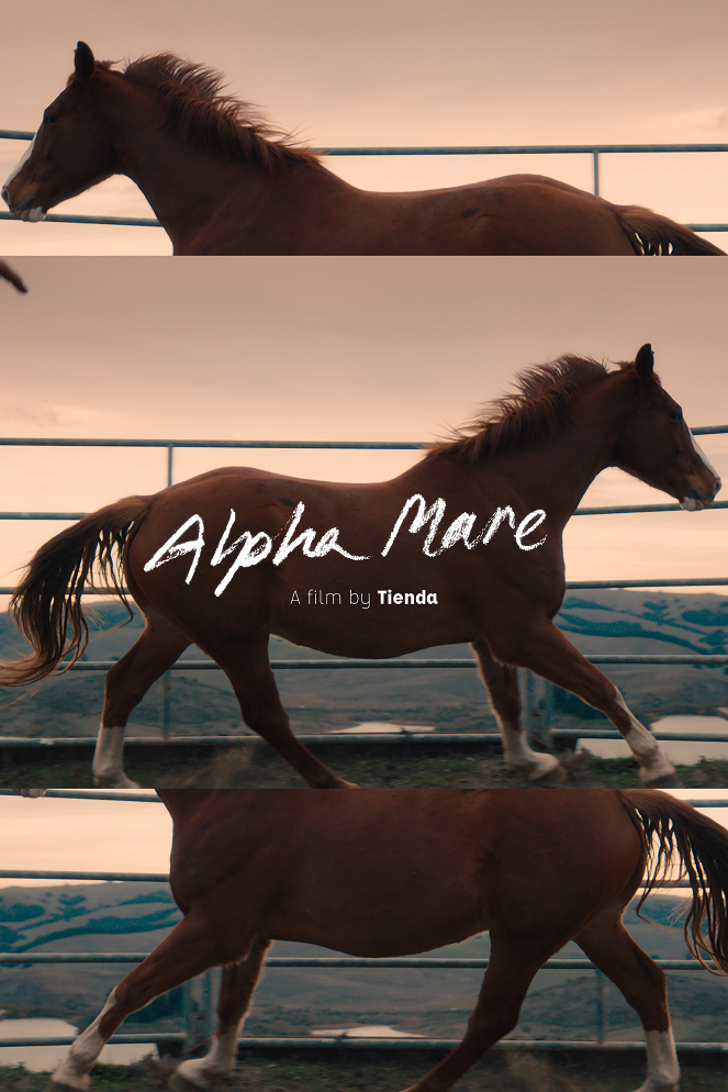 Alpha Mare - Posters