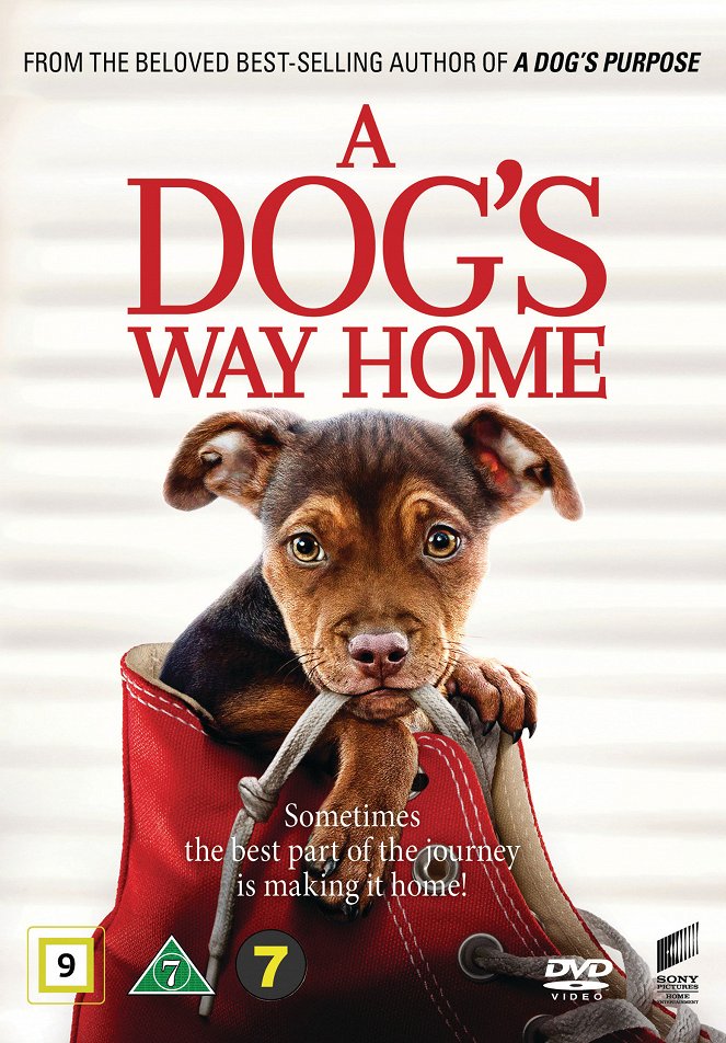 A Dog's Way Home - Julisteet