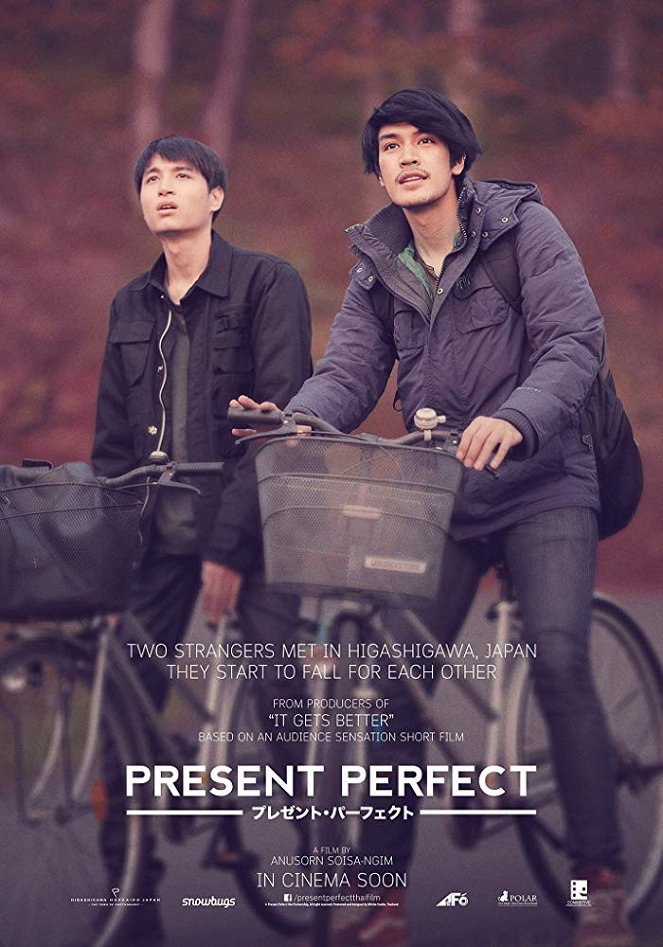 Present Perfect - Affiches