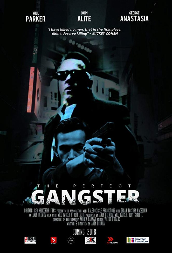 The Perfect Gangster - Julisteet