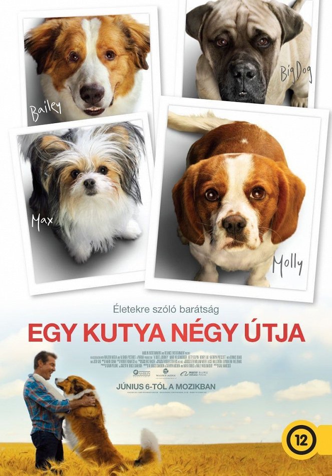 Egy kutya négy útja - Plakátok