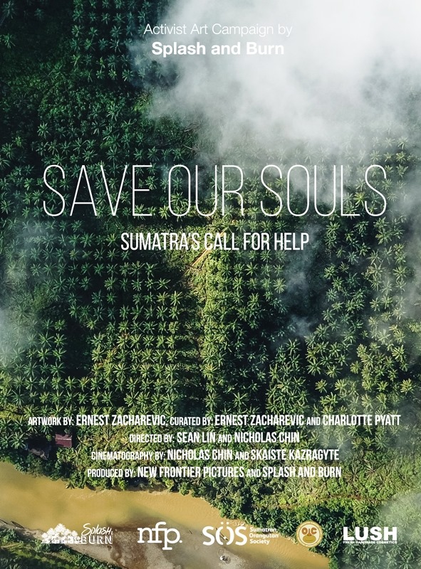 Save Our Souls - Julisteet
