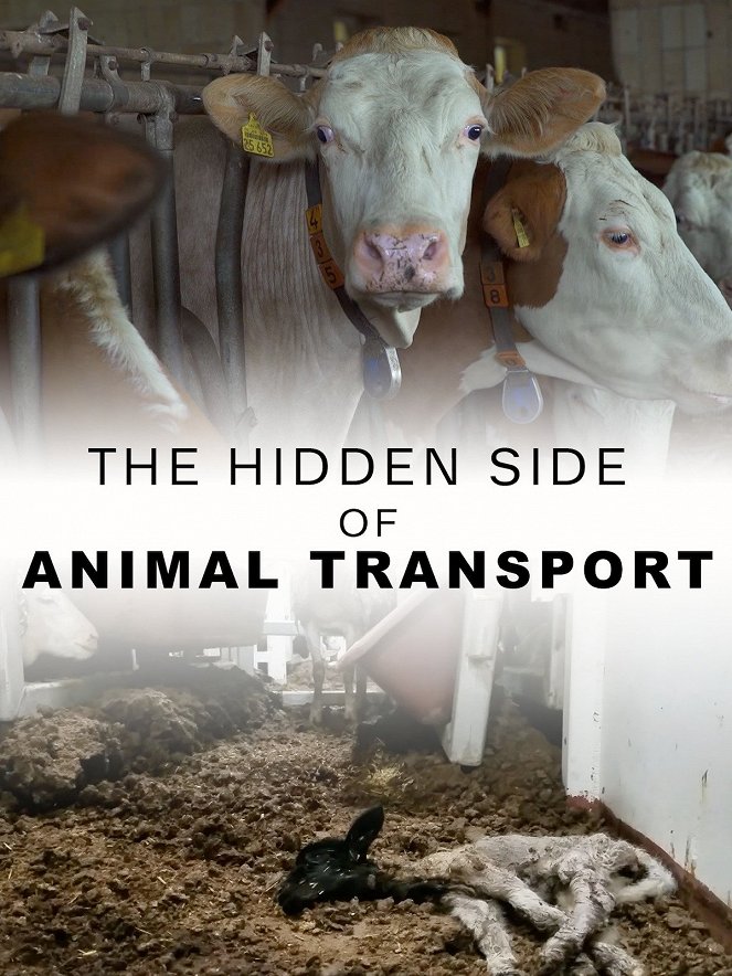 The Hidden Side of Animal Transport - Plakáty