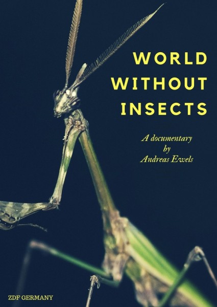World Without Insects - Carteles