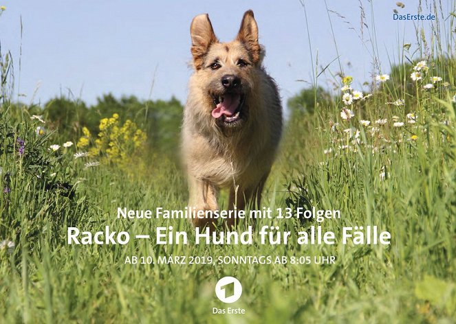 Racko - Ein Hund für alle Fälle - Carteles