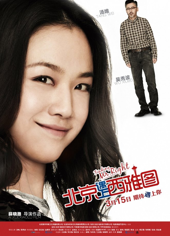 Finding Mr. Right - Posters