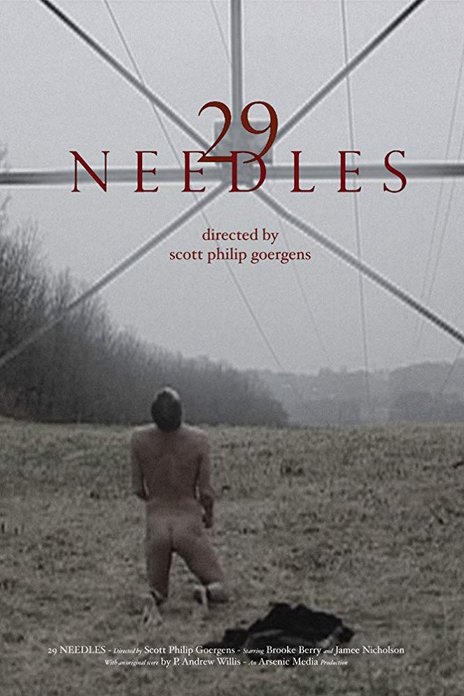 29 Needles - Carteles