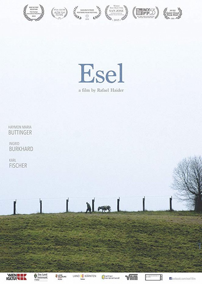 Esel - Affiches