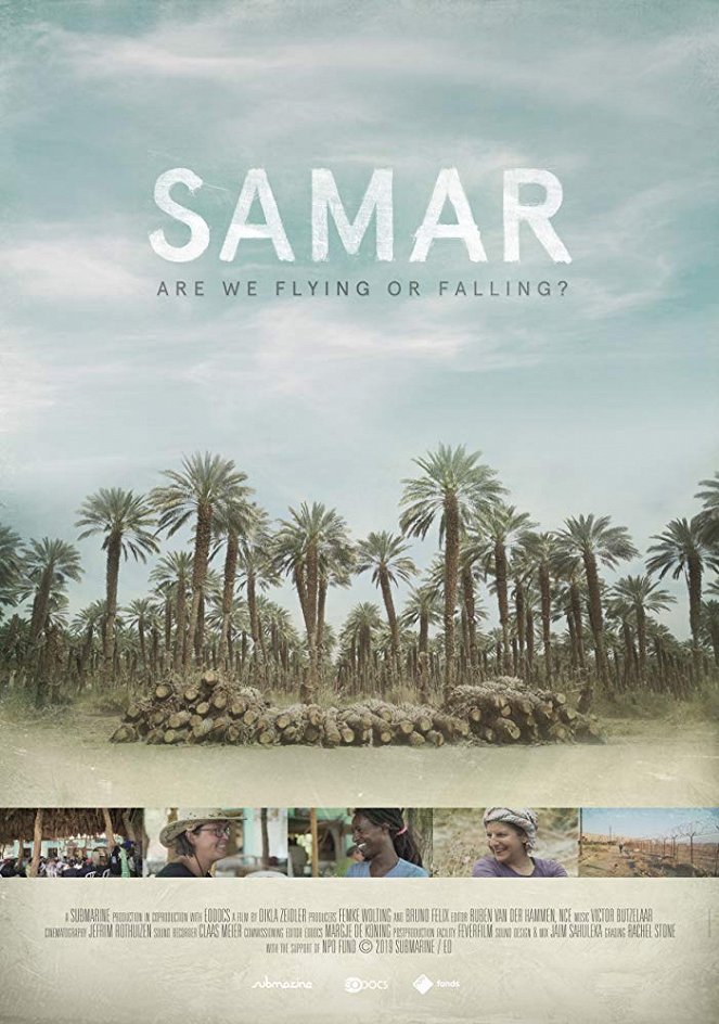 SAMAR - are we flying or falling? - Posters