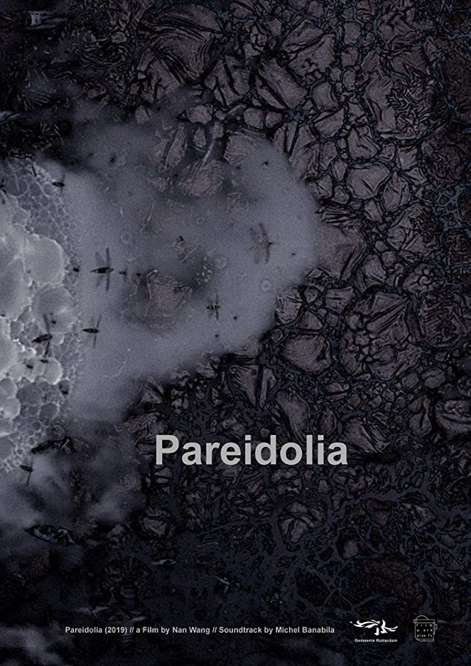 Pareidolia - Plakátok