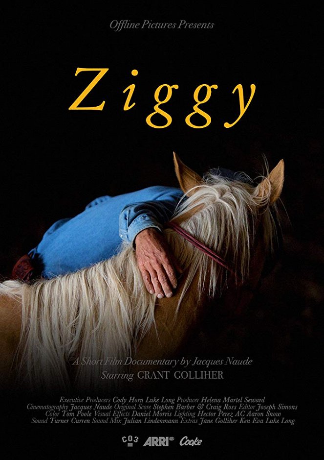 Ziggy - Plakátok