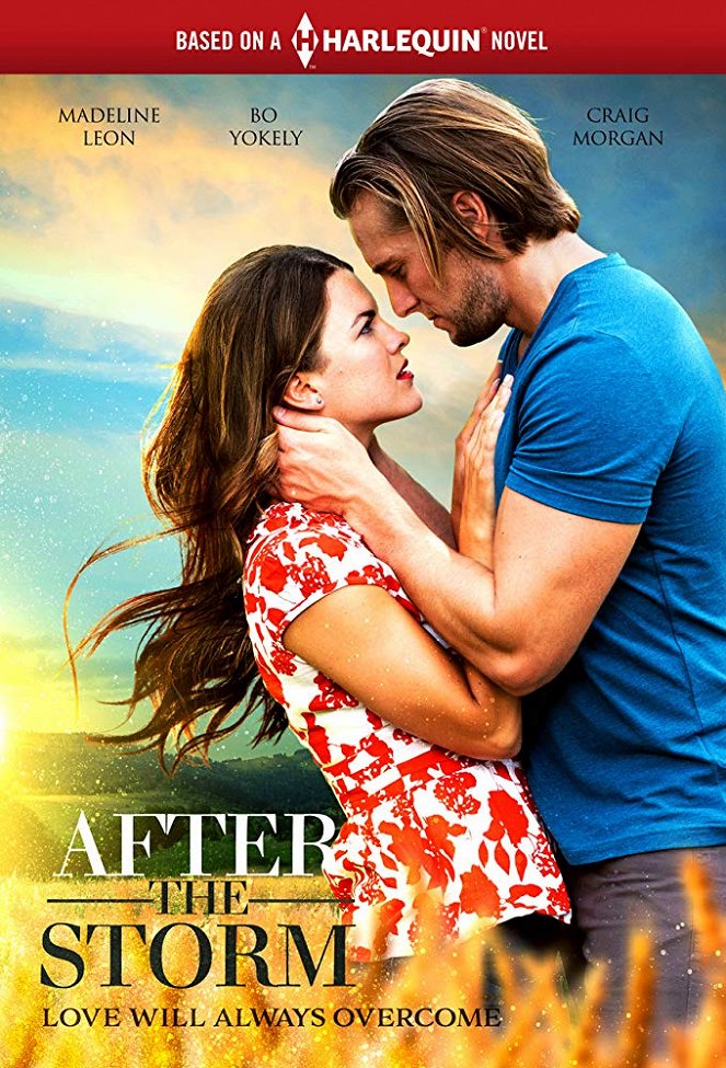 After the Storm - Affiches