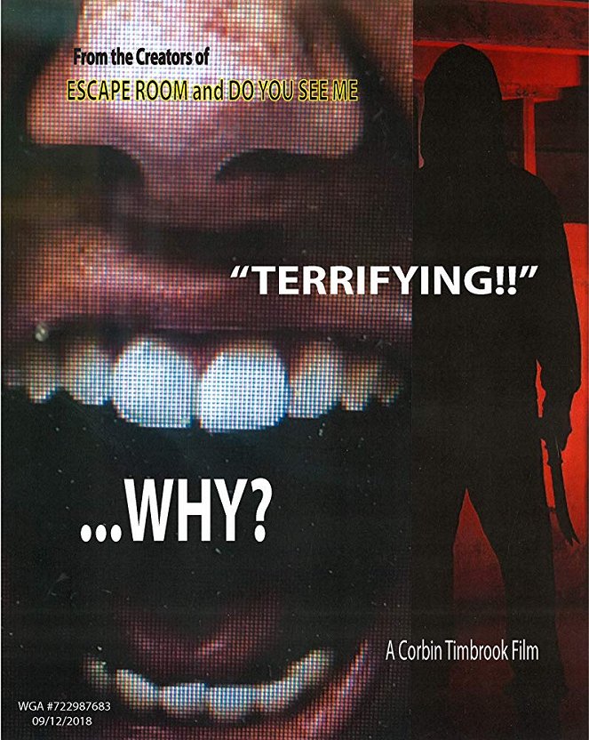Why? - Plakate