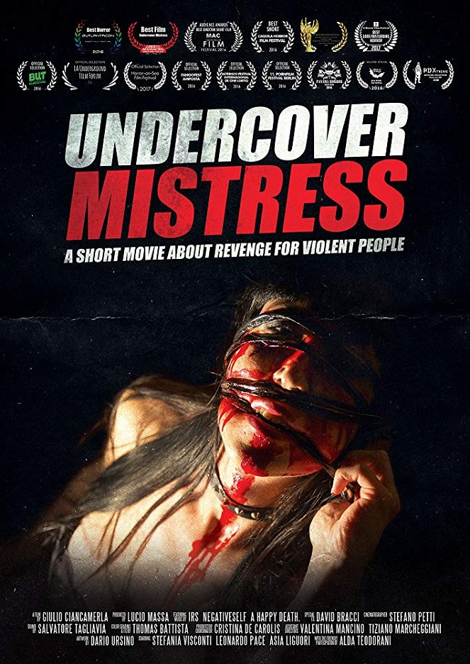 Undercover Mistress - Plagáty