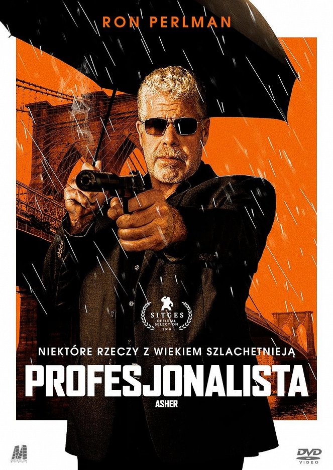 Profesjonalista - Plakaty