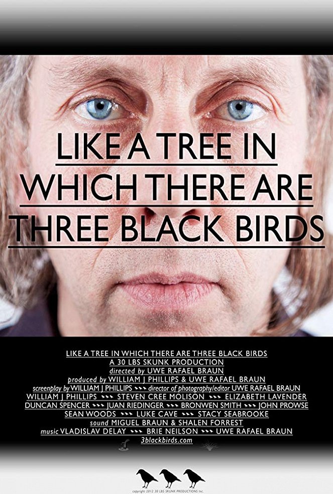 Like a Tree in Which There Are Three Black Birds - Julisteet
