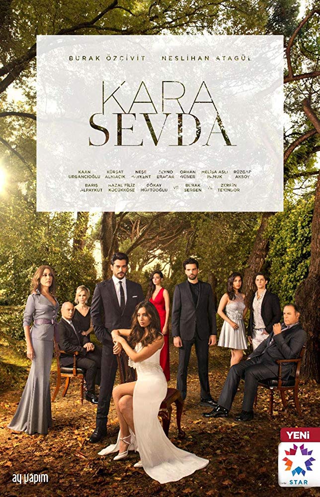 Kara Sevda - Plakate