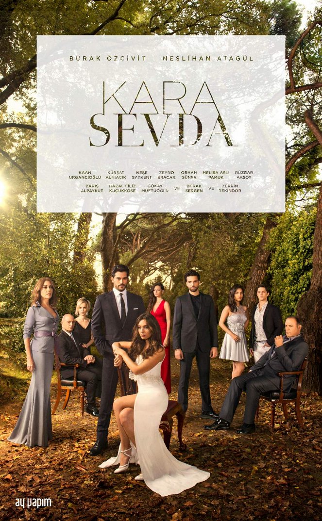 Kara Sevda - Plakate