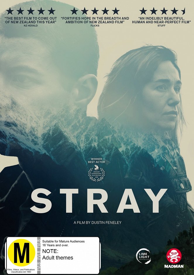 Stray - Affiches