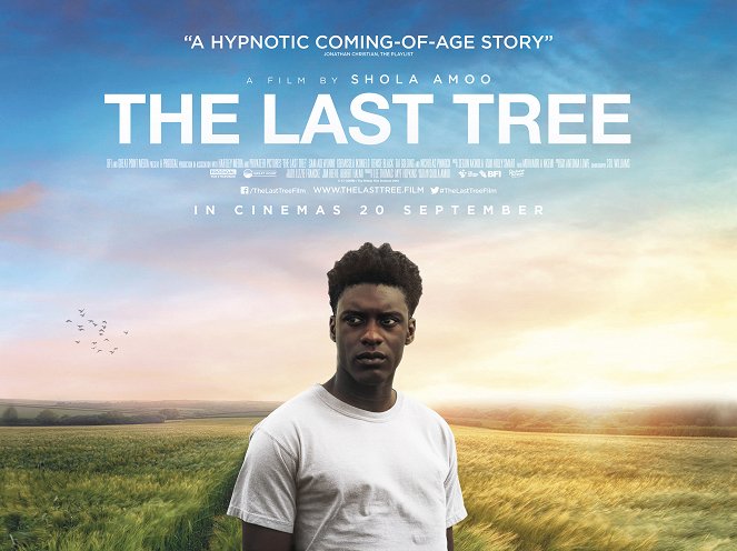 The Last Tree - Affiches