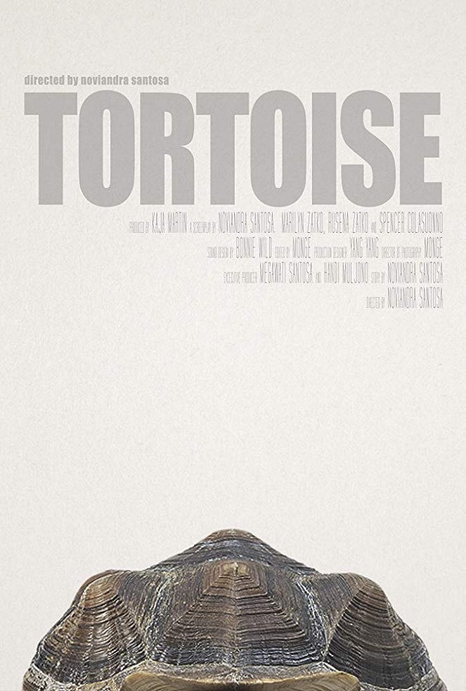 Tortoise - Affiches