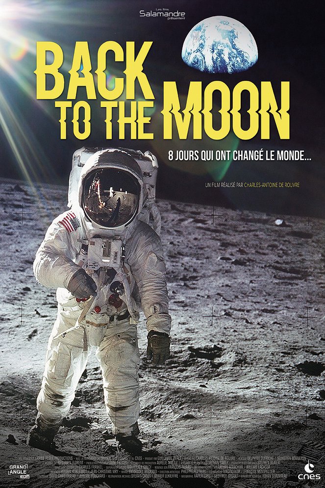 Back to the Moon - Plakate