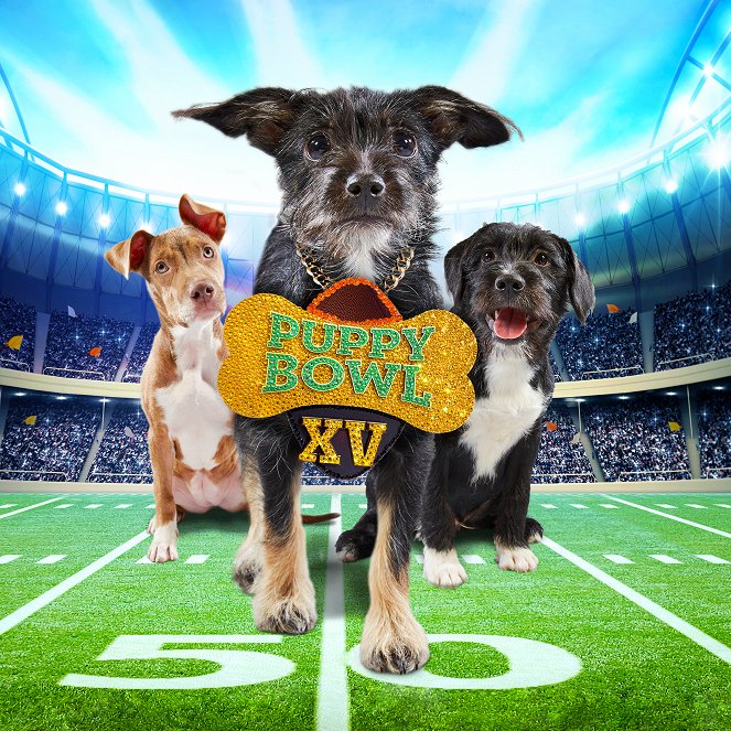 Puppy Bowl XV - Plakate