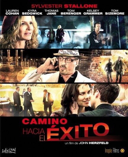 Camino hacia el éxito - Carteles