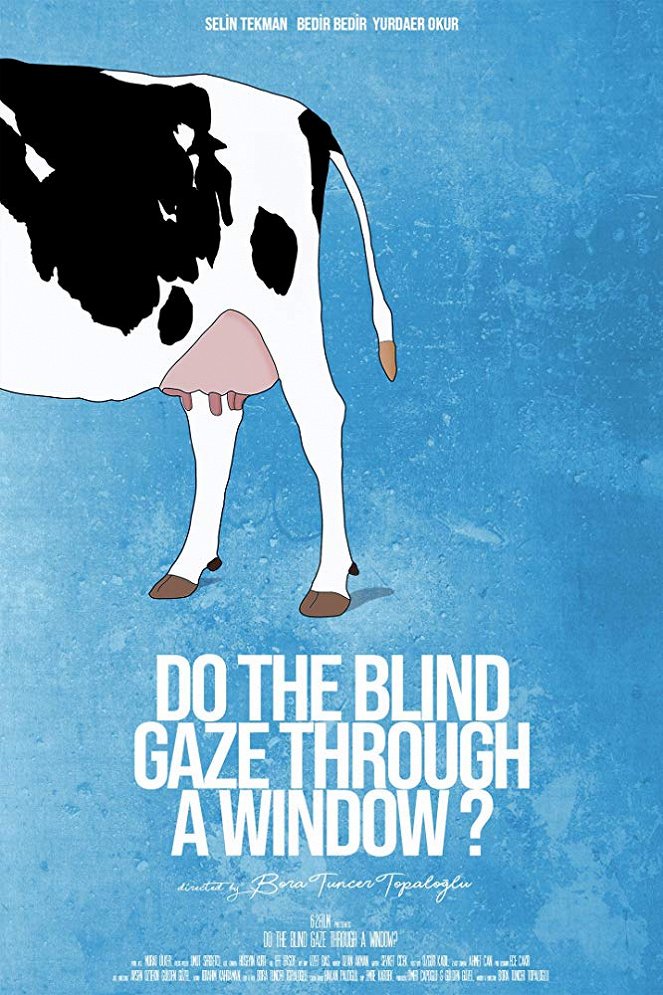 Do the Blind Gaze Through a Window? - Posters