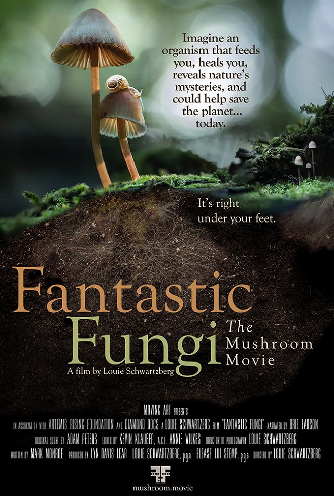 Fantastische Pilze - Die magische Welt zu unseren Füßen - Plakate