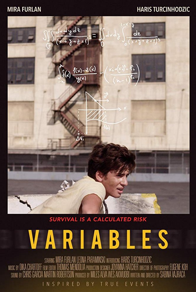 Variables - Plakate