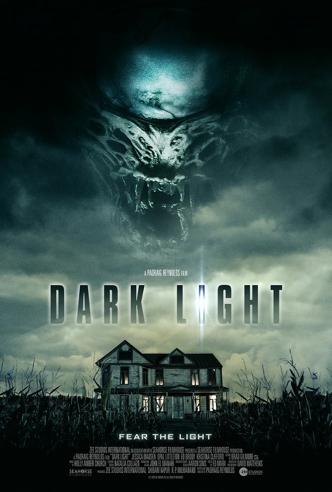 Dark Light - Posters