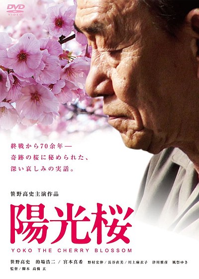 Yoko the Cherry Blossom - Posters